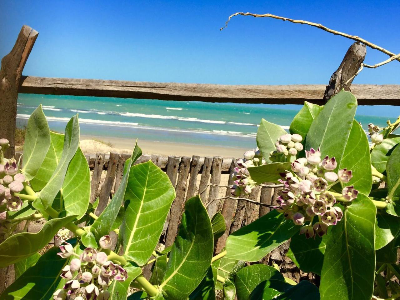 Chale Paraiso - Icapuí Esterno foto