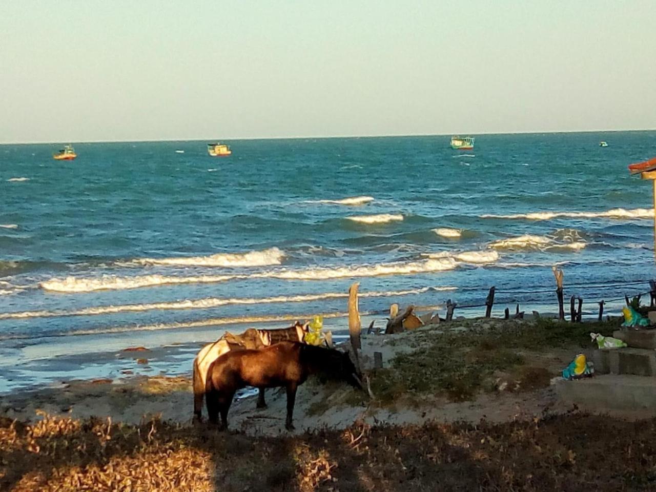 Chale Paraiso - Icapuí Esterno foto